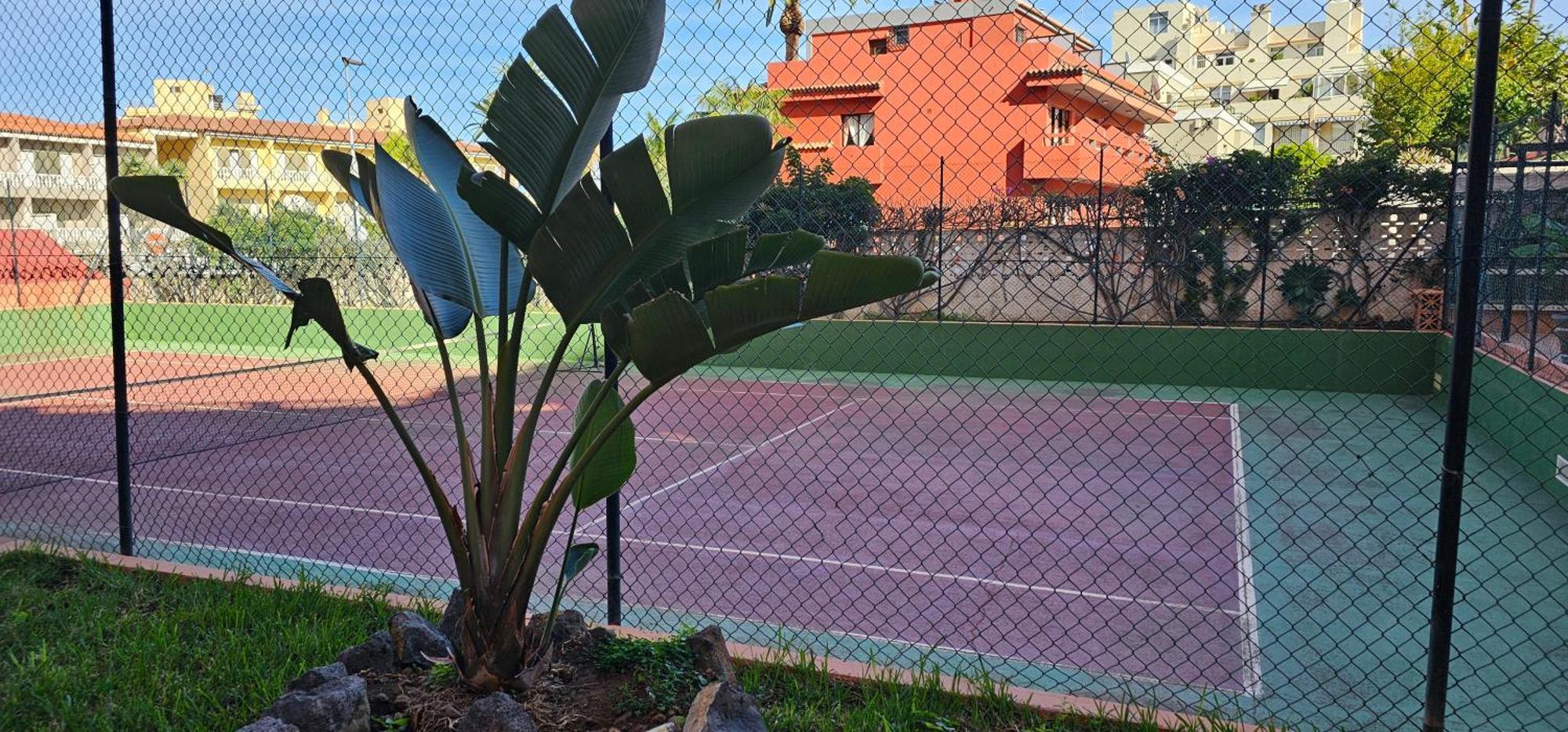 Estudio Tranquilo Cerca Del Mar. Puerto de la Cruz  Exteriör bild
